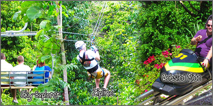 mystic mountain jamaica rainforest adventures tours